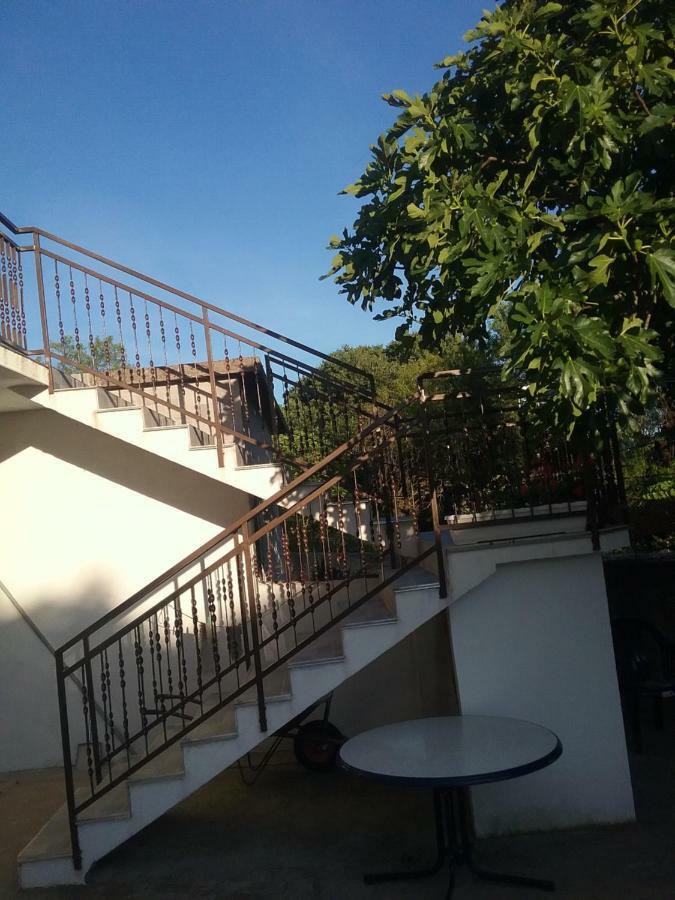 Milda+M Apartment Skradin Ngoại thất bức ảnh